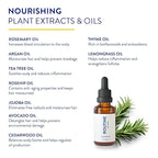 Routine Wellness Hair Treatment Serum for Thinning Hair - Plant-Based Rosemary, Tea Tree & Argan Oils Blend for Strength, Shine & Softer Hair - Clean Ingredients, All Hair Types - 30ml