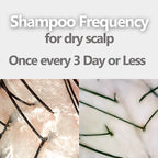 Aromase Dry Scalp Soothing Shampoo - Hydrates, Relieves Dryness and Itchiness - Amino Acid-Based Formula - No Parabens, SLS, or Silicone - 14 oz