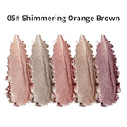 Glitter Shimmer Eyeshadow Palette – High Pigment Sparkly Metallic Eye Makeup Rose Quartz, Silver Champagne, Coral Pink, Taupe Gold & Plum Silver Shades, Long-Lasting Festival Party Eye Glitter Palette