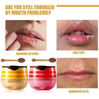 2 Pcs Honey Pot Lip Balm,