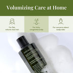 CURLYSHYLL Revitalizing Shampoo for Thinning Hair | Volumizing & Fortifying Care | Daily Scalp Shampoo with Citrus & Tea Tree (360ml)