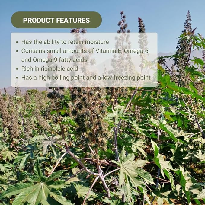 Organic Castor Oil Direct From India - Cold Pressed Castor Oil For Face, Hair Growth, Eyelash Serum, Eyebrow - Skin and Face Moisturizer and Detox - Hexane Free (16 oz)