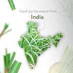 HBNO California Bottled Lemongrass Essential Oil 4 fl oz (120ml) - Natural Lemongrass Oil, Perfect for Cleaning, Aromatherapy, DIY, Soap & Diffuser -