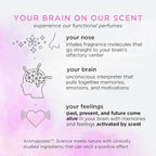 Pacifica Beauty | Sunrise Moon Spray Perfume | Peach, Cardamom, Madarin Notes | Natural + Essential Oils | Clean Fragrance | Vegan + Cruelty Free | Gifts for Her, 1 Fl Oz (Pack of 1)