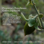 Ogee Complexion Perfecting Under Eye Concealer - Certified Organic Full Coverage Concealer - Buildable Coverage - BALSAM 5.25W - Medium Tan (Warm Undertones)