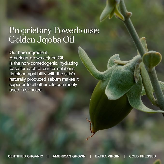 Ogee Complexion Perfecting Under Eye Concealer - Certified Organic Full Coverage Concealer - Buildable Coverage - BALSAM 5.25W - Medium Tan (Warm Undertones)