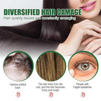 Jamaican Black Castor Oil - 100% Pure Organic Cold Pressed for Hair Growth, Eyelash/Eyebrow Serum, Scalp and Nail Care, Glass Bottle (2.02 Fl Oz) (small, castor)