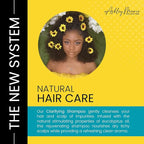 The Hair Diagram - Ashley Marie Clarifying Shampoo - Nourishing Natural Cleansing Formula For Hair & Scalp - Eucalyptus Oil Shampoo - Refreshing Aroma - Color Safe - Paraben & Sulfate Free - 12oz