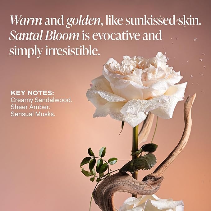 Saltair Body Lotion - 2 Pack Moisturizing Lotion For Dry Skin. Signature Scents Hydrating Body Cream with Nourishing Moisturizer Formula. Skin Care for Women and Men. 2x 10oz Tubes