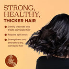 Luseta Shampoo and Conditioner Set for Hair with Turmeric & Collagen, Hair Thickening Volumizing Shampoo for Thin or Oil Hair, Sulfate and Parabens Free 2x16.9Oz