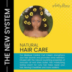 The Hair Diagram - Ashley Marie Moisture Control Curl Cream with Avocado & Sunflower Oil - Natural Ingredients - Anti Frizz Curly Hair Styling Cream - Color Safe - Paraben & Sulfate Free - 12oz