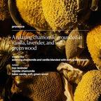 evolvetogether Lip Balm for Women & Men | Plant-Powered Hydration with Calming Lavender | Multi-Use Stick for Lips, Cuticles, Cheeks | Cruelty-Free, Paraben-Free | Made in USA (Provence, 1 Oz)