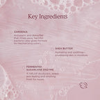 HANNI Cocoon Cleanse Serum with Shea Butter, Soap-Free Body Wash and Shaving Cream Replacement, Hydrating Cleanser with Eucalyptus, 3.7 oz