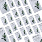 Dermaka Travel Size Sunscreen SPF 42 for Face & Body – 2-in-1 Lightly Tinted Mineral Sunscreen with Zinc Oxide & Titanium Dioxide – Skin Soothing, Water-Resistant 80 Min, 5ml 25 sachets