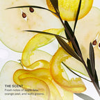 SEEN Leave-In Conditioner - Leave-In Hair Conditioner & Heat Protectant Spray- Detangles & Hydrates- Formulated without Parabens, Sulfates or Phthalate (Scented)