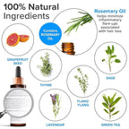 HairStem Follicle-boosting Triceutical Serum for Thicker Fuller Hair | Triple-Action, Multi-Zonal Topical Serum for Hormonal, Nutritional, and Inflammatory-Related Hair