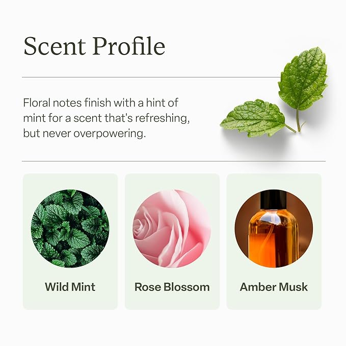 Divi Dry Shampoo Spray for Women - Formulated to Absorb Oil, Balance the Scalp and Extend Time Between Washes - Free of Benzene, Butane, Propane and Talc, 5.3oz (1 Pack)