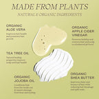 Ingreendients Non Toxic Vegan Shampoo and Conditioner with Organic Ingredients, Apple Cider Vinegar, Tea Tree Oil - Color Safe, Paraben & Gluten Free, Silicone & Sulfate Free, pH Balanced