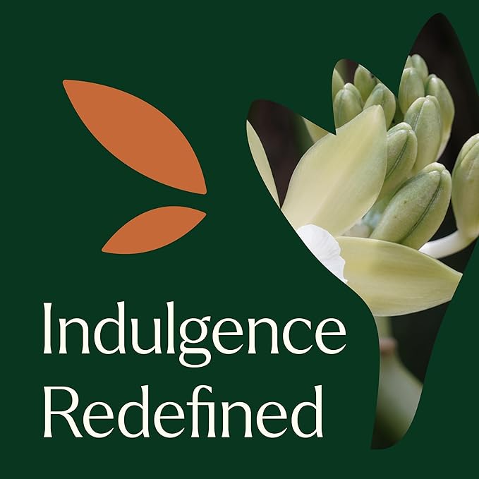 Plant Therapy Evoke Velvet Glow Body Oil 4 oz Ultra Hydrating & Quick Absorption for Silky Soft Skin, Enriched with Squalane, Argan, and Vitamin E, Luxurious All Natural Scent