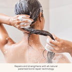 Everist The Shampoo Concentrate – Waterless Bond-Repair Cream Shampoo for All Hair Types – Glycerin & Aloe Hydration with Rosemary & Peppermint – Plant-Based, Vegan, Color-Safe - 3.4 fl oz TIN