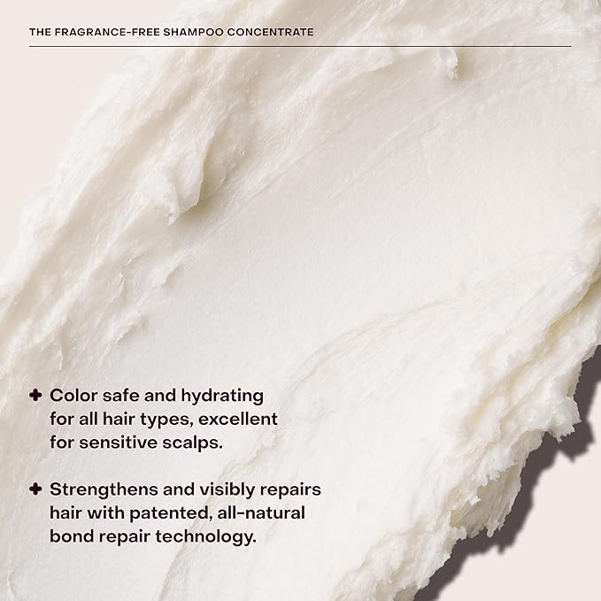 Everist The Fragrance-Free Shampoo Concentrate, Cleansing, Hydrating and Soothing for All Hair Types, Sensitive Skin, Gentle On All Scalps, Plant-based, Aloe Vera, 3.4 fl oz, 50+ Washes, TIN