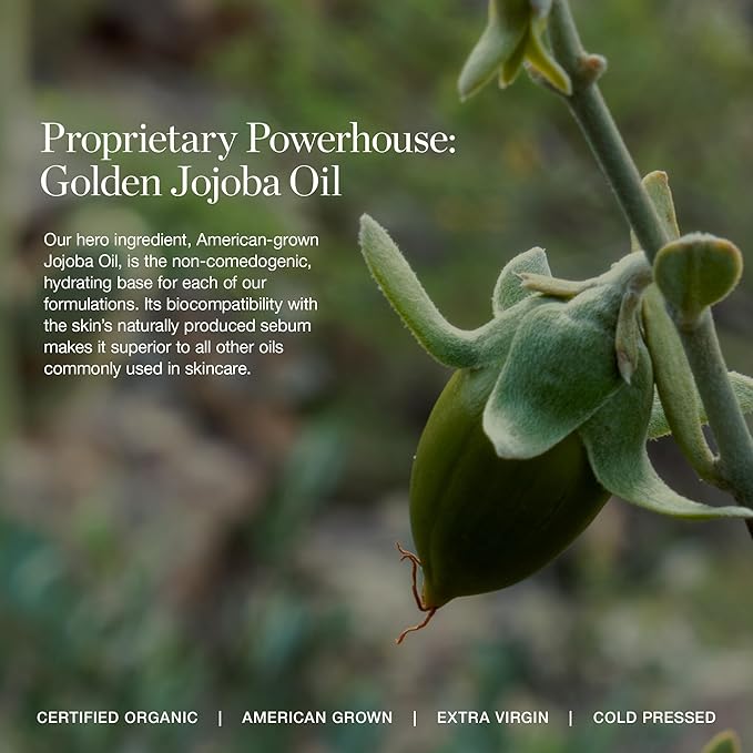 Ogee Midnight's Kiss - Rose Quartz Face Stick & Thistle Lip Gloss Duo - Limited Edition Holiday Makeup Gift Set - Certified Organic & Skincare-Infused