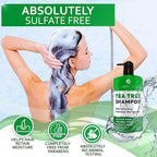 Tea Tree Oil Shampoo - Sulfate and Paraben Free with Collagen Keratin - Ideal for Women and Men with Oily Hair and Scalp Buildup - Anti Dandruff Treatment for Itchy, Dry Scalps – Salon Grade Products