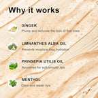 KISSIO Plumping Lip Gloss,Plumping,Moisturize and Elasticity,Lip Plumper and Lip Care for Day and Night Use,with Ginger,Peppermint and Jojoba Oil,Clear,10 ml