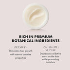 Hanz de Fuko Scheme Cream – Premium Men’s Hair Styling Cream for a Medium Hold, Natural Shine – Ideal Texture Product for All Hair Types, Provides Versatility on Wet or Dry Hair – 2 oz, Travel Size