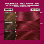 Garnier Hair Color Nutrisse Ultra Color Nourishing Creme, RP1 Dark Intense Pink Red (Cherry Flamingo) Permanent Hair Dye, 2 Count (Packaging May Vary)