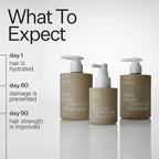 ACT+ ACRE Stem Cell Conditioner | Strengthens Ends, Adds Shine, Hydrates Fine Hair | Apple Stem Cells, Castor Oil, Antioxidants | Lightweight, Vegan, Cold Processed®, Color Safe | 10 Fl Oz