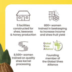 Burt's Bees Shea + Aloe Lip Balm Stocking Stuffers Christmas Gifts, Antioxidant Vitamin Rich Formula Locks in Moisture for Instant Hydration, Natural Smoothing Lip Treatment for After Sun Care(4-Pack)