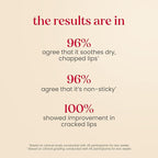 Burt's Bees Stocking Stuffers, Rescue Lip Relief, Watermelon & Berry Medley, Hydrating Lip Balm for Dry Cracked Lips, with Responsibily Sourced Beeswax, 100% Natural Origin, 2 Pack, 0.35oz