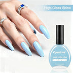 16.5ml Light Blue Nail Polish Large Volume Quick Drying Nail Polish, Fast Drying and Long Lasting Color Nail Art DIY Home Manicure Gift for Women