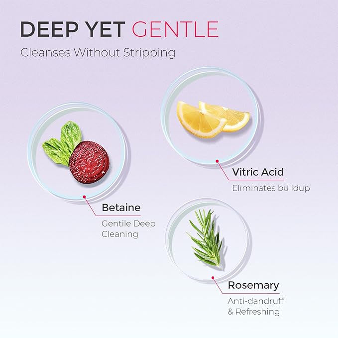 TYMO Clarifying Shampoo for Women - Natural Formula Shampoo for Oily Hair, Remove Build Up, Deep Clean, Hair and Scalp Cleaning, Biotin & Sulfate Free, 3.5 Oz, Dandruff & Deep Clean - Rosemary