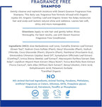 Desert Essence Fragrance Free Shampoo – 8 fl oz – Unscented Gentle Cleanser with Jojoba Oil, Green Tea & Comfrey – Softens & Strengthens Hair, Adds Shine – For Sensitive Scalps