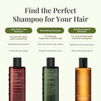 CURLYSHYLL Revitalizing Shampoo for Thinning Hair | Volumizing & Fortifying Care | Daily Scalp Shampoo with Citrus & Tea Tree (360ml)