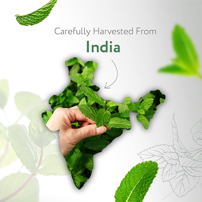 HBNO California Bottled Peppermint Essential Oil 4 fl oz (120ml) - Premium Grade Natural Peppermint Oil for Hair, Skin & Scalp Care - Ideal for Masage, Diffusers & Aromatherapy - with Glass Dropper