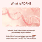 PDRN Ampoule and PDRN Cream, CUSKIN Korean Skin Care with Salmon DNA, Plant Based Bakuchiol, Moisturizing Bifida