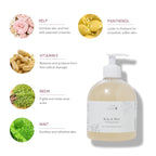 100% PURE Kelp & Mint Volumizing Shampoo Purifying Deep Detox - Hydrating Botanical Body Boost for Dry, Damaged Thinning Hair, Promotes Healthy Growth for Women & Men - Sulfate Free - 16 Fl Oz