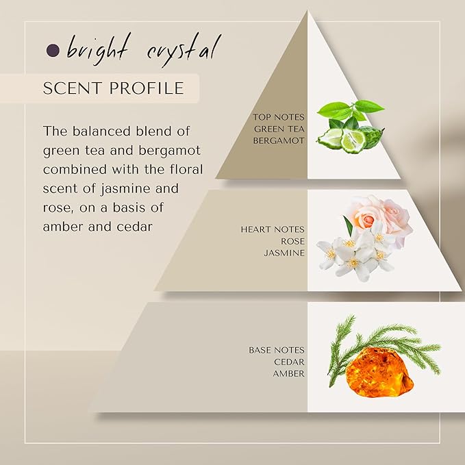 No-Yellow Toning Purple Shampoo for boland hair | Neutralizes Yellow Tones in Blonde, Silver & Bright Crystal Highlighted Hair | Dutch Made & Formulated | Jasmine & Rose Scent | 750 ml