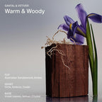 Salt & Stone Body Mist, Santal & Vetiver Scent, Skincare Infused Hair & Body Spray for Women and Men, Hydrating Fragrance with Glycerin and Red Algae, Vegan, Cruelty Free, 3.4 fl oz