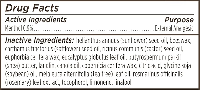 Burt's Bees Lip Balm Stocking Stuffers, Moisturizing Lip Care Christmas Gifts, for Dry Chapped Lips, Medicated with Menthol & Eucalyptus, Natural Origin Lip Care (4-Pack)