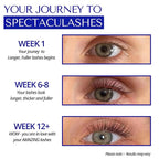 SPECTACULASH XL LASH SERUM for Eyelash Growth - Eyelash Serum to Grow Lashes - Suero para Pestañas Crecimiento - Lash Conditioner for Growth & Volume Lashes - Sérum para Pestañas by DERMAWORKS