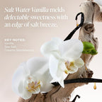 Saltair Body Lotion - 2 Pack Moisturizing Lotion For Dry Skin. Salt Water Vanilla Scented Hydrating Body Cream with Nourishing Moisturizer Formula. Skin Care for Women and Men. 2x 10oz Tubes