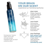 Pacifica Silver Moon Hair Mist Perfume & Full Body Spray for Women - Body Mist Fragrance w/BTonka, Santal, Cardamom, Vanilla Bean, Musk & Amber – Clean Beauty Alcohol-Free, Vegan & Cruelty-Free, 5 oz