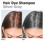 Silver Gray Hair Dye Shampoo 3 in 1, Long-lasting & Natual Hair Color Shampoo Lasting for 4 Weeks, Herbal Ingredients Natural Shampoo Hair Dye Effect in Minutes, Gifts for Men Women 500ml