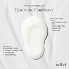 Restorative Conditioner – Lightweight Hydrating Conditioner with Hyaluronic Acid & Peptides – Frizz Control for All Hair Types – Sulfate-Free, Color-Safe (8.45 oz)