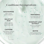 Dr. Groot Thickening Shampoo & Conditioner Set for Hair Loss – Clinical Results with Biotin and Rosemary for Hair Thinning, Shedding, Scalp Repair and Treatment