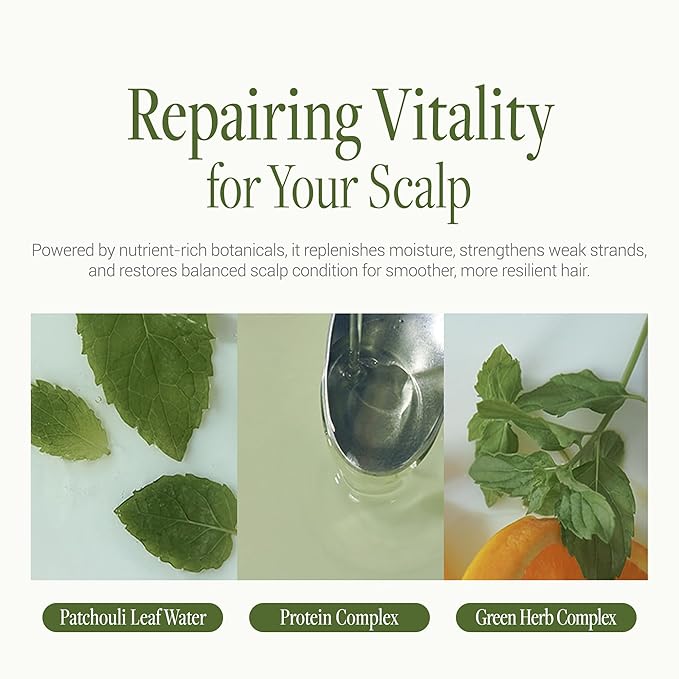 ANILLO Patchouli Garden Damage Repair Shampoo - Korean Hair Care Nourishing Shampoo for Men & Women w/Patchouli Leaf Water, Protein Complex & Green Herb Complex - Vegan Scalp Cleanser (15.22 fl.oz)